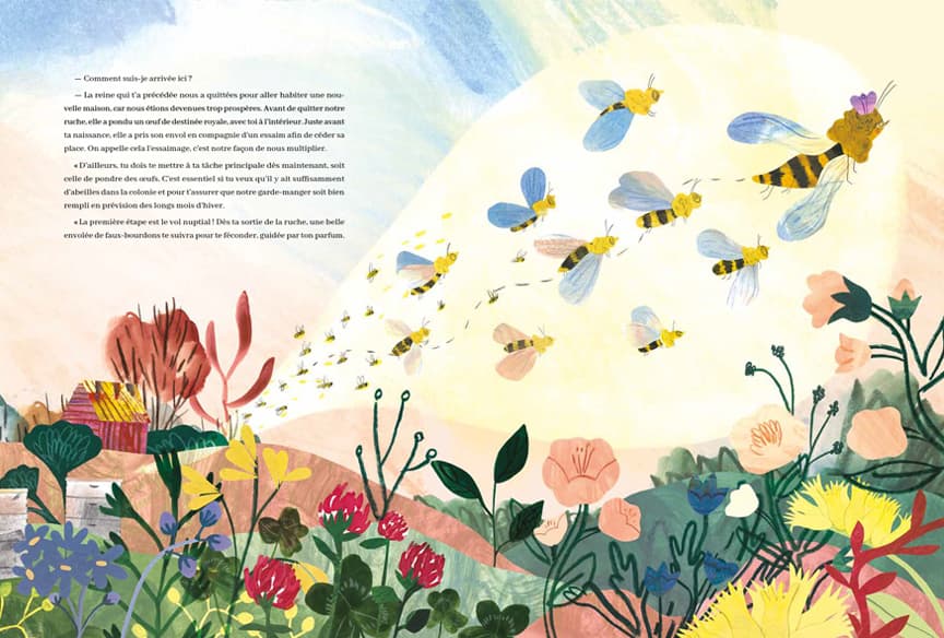 Reine Melliféra et la vie des abeilles, illustration by Josée Bisaillon (2)