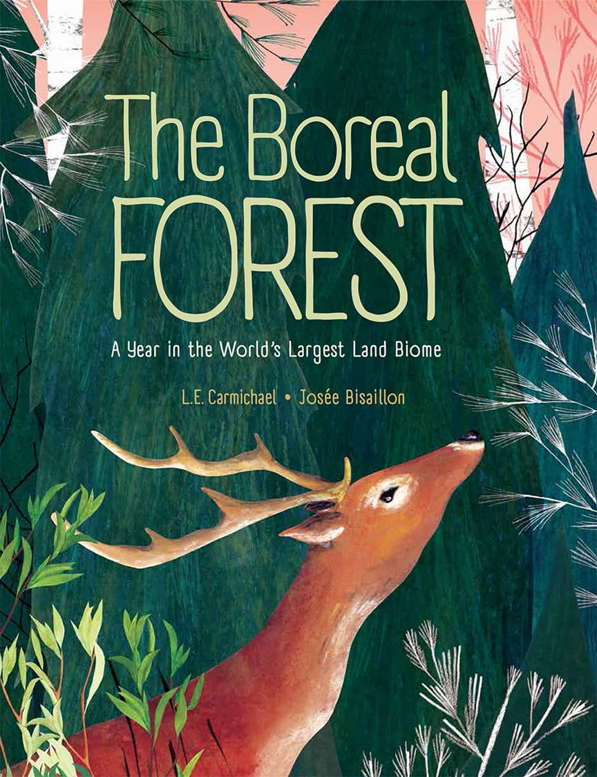 The Boreal Forest, illustration by Josée Bisaillon (1)