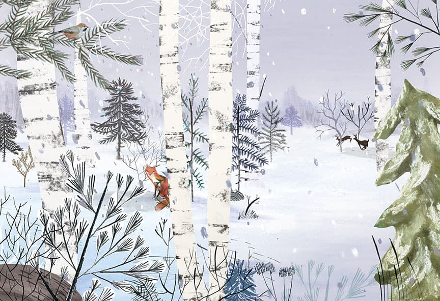 The Boreal Forest, illustration by Josée Bisaillon (2)