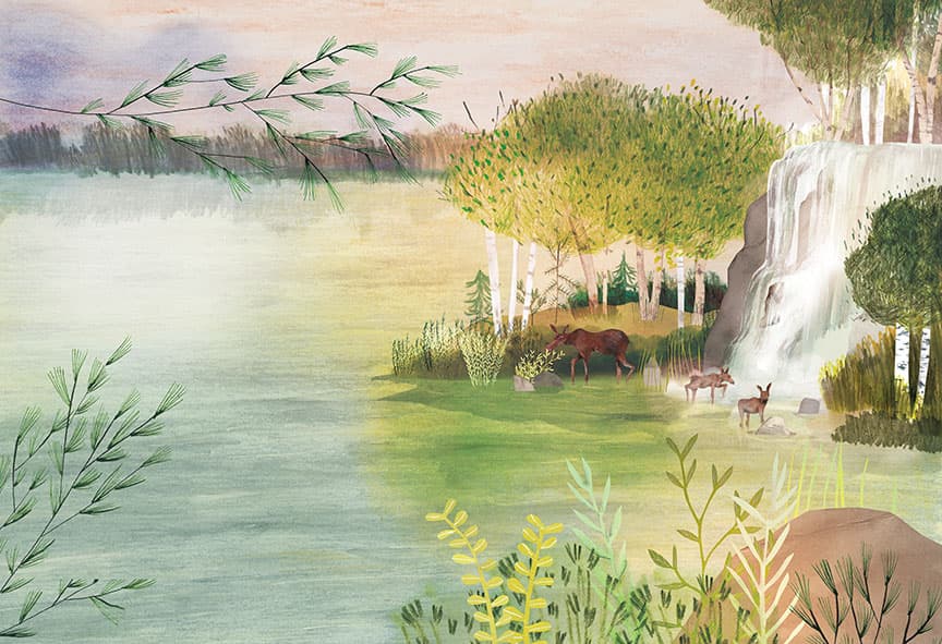 The Boreal Forest, illustration by Josée Bisaillon (3)