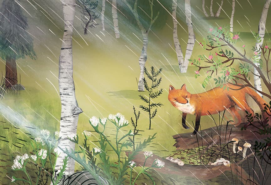 The Boreal Forest, illustration by Josée Bisaillon (4)