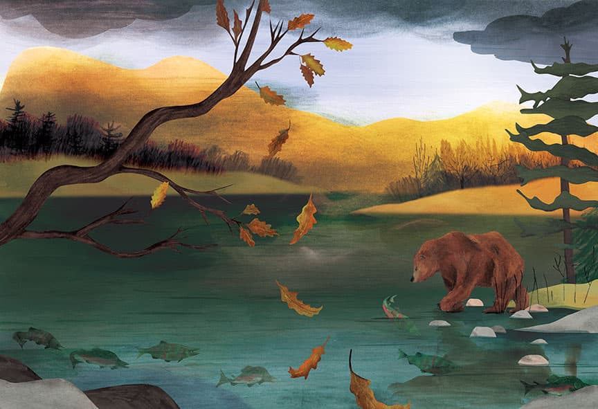 The Boreal Forest, illustration by Josée Bisaillon (5)