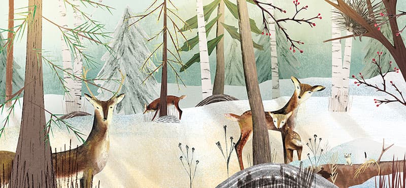The Snow Knows, illustration by Josée Bisaillon (3)